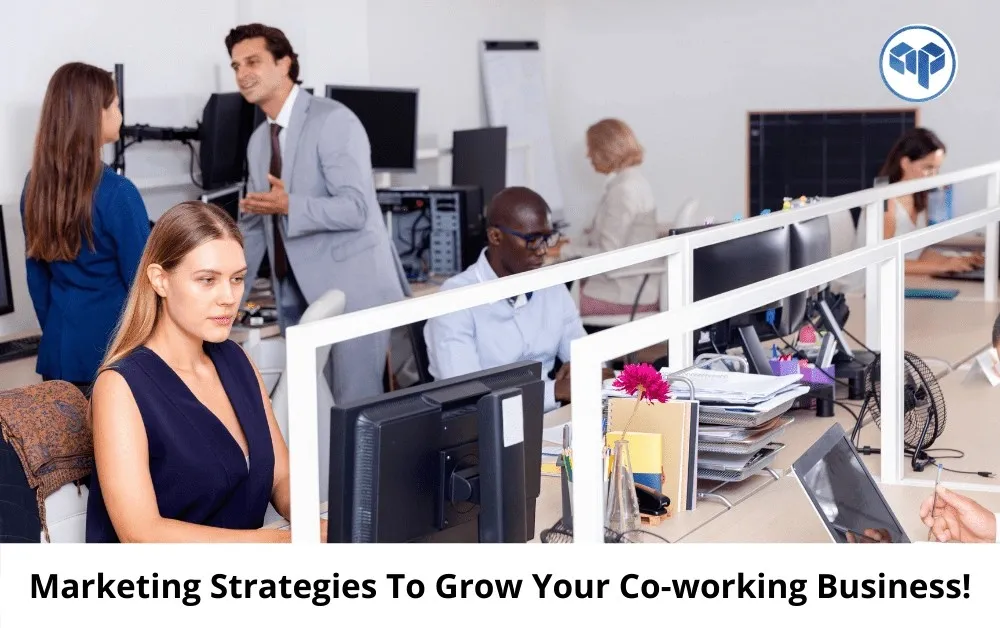 marketing strategies to grow